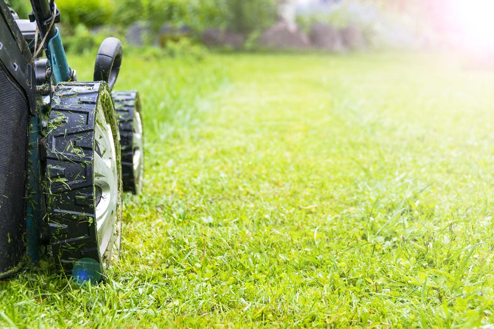 lawn mower repair